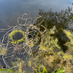 Landscape art Annaberg 2022