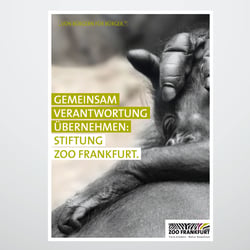 Zoo // Stiftungsbroschüre