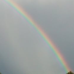 Natur 2012 Regenbogen 02