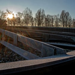 Frostiger Sonnenaufgang im Prosperpark Bottrop