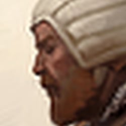 Lonely crusader