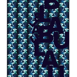 Plakate II, Eigenprojekt