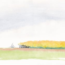 Wald und Abbaubagger