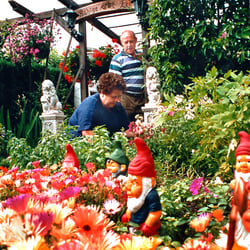 Schrebergarten 5