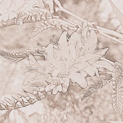 Blüten und andere Zaubereien