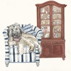 Kinderbuch Gossos zu Hause