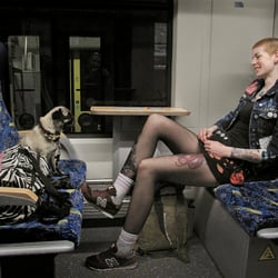 mensch und mops 5