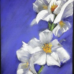 Malerin – Öl, Pastell, Aquarell