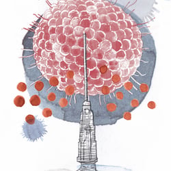 HPV