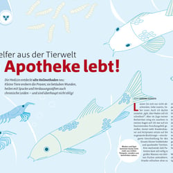 Kleine Helfer, Illustration und Layout für healthy living