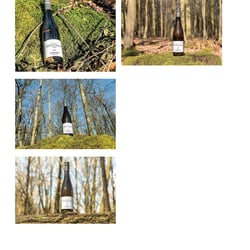 wald april 2021