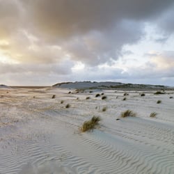 Nordfriesland Morgendämmerung