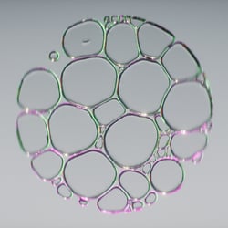 Microscopic Exploration