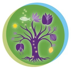 Illustration für Craniosacral-Verband