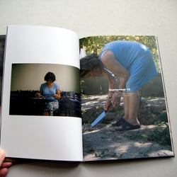 IMG 4224