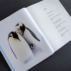 Inhaltsverzeichnis „Das Leben der Pinguine“