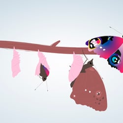 Metamorphose Illustration zu einem Blogartikel