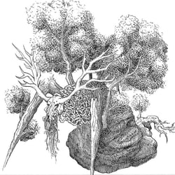 Ink, „Herrscher des waldes“