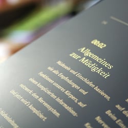 Oneiroi – Diplomarbeit – Schlafen