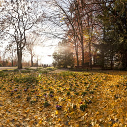 Herbst in Stuttgart – Bad Cannstatt