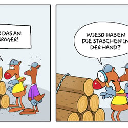 Holzwurm