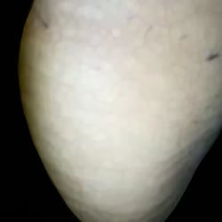 Bulk – 40,5 × 32,3 cm