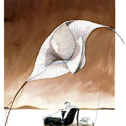 Siesta