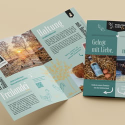 Zeitungsbeilage