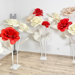 XXL Rosen