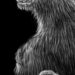 Werwolf