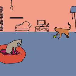 Illustration für Schnurrinchen, Katzen-Blog & Shop – zweiter Bereich Website
