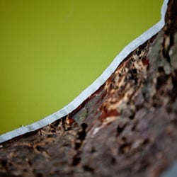 Installation UrbanNature