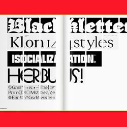 Slanted-Publiaktionen-Slanted-Publishers-Support-Independent-Type 23