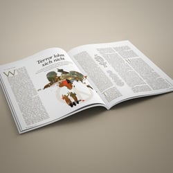 „Terror lohnt sich nicht“ für Chrismon Magazin, 2017