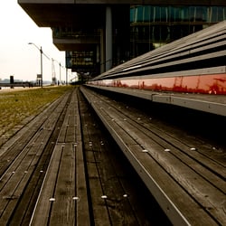 Red&Wood