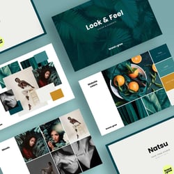 Konzept und Moodboard Website