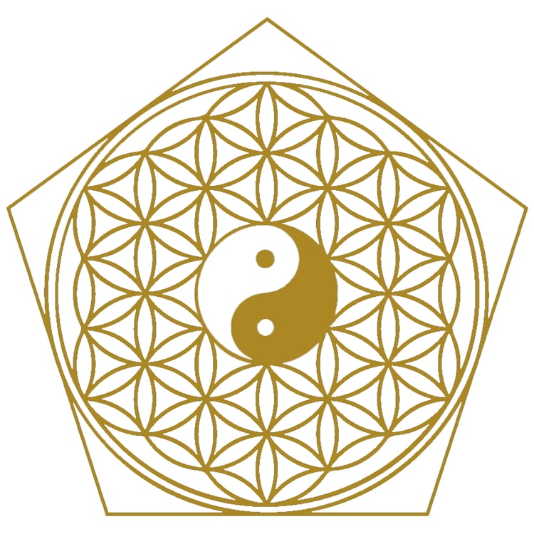Hara Shiatsu Praxis Wien | 1020 | Tobias König