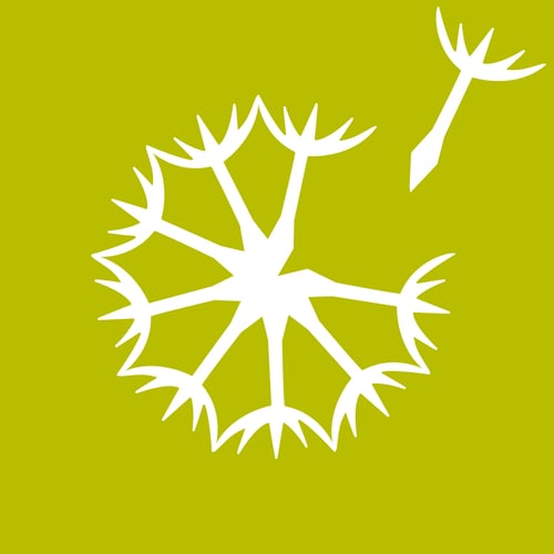 Designs To Grow