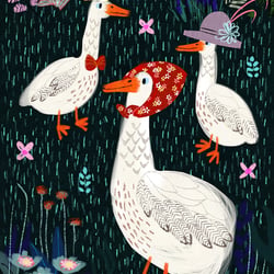 Fancy Geese