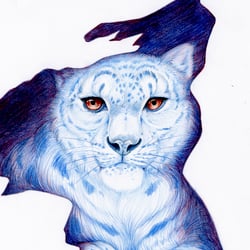Schneeleopard