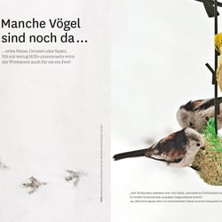 hygge magazin, nr. 3