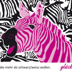 zebra