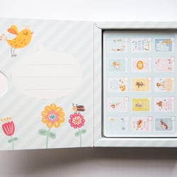 Verpackung der 31 Baby-Foto-Karten