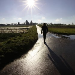 Morgens auf der Neckarhalde…