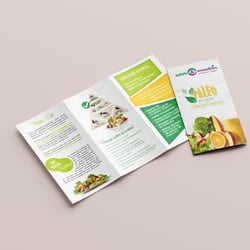 Flyer SUS 4