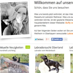 Labradorzucht Oberland – Labrador vom Weidenbach