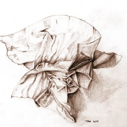 Free hand drawing / study