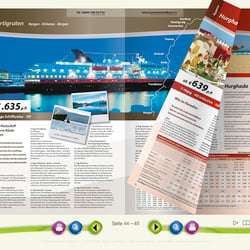 Katalog (print sowie online)