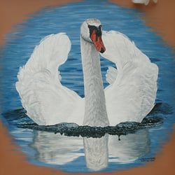 Schwan