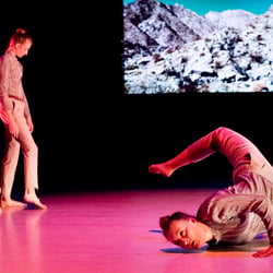 Performing, Moving, Imaging Landscapes